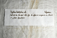 Detalle 1